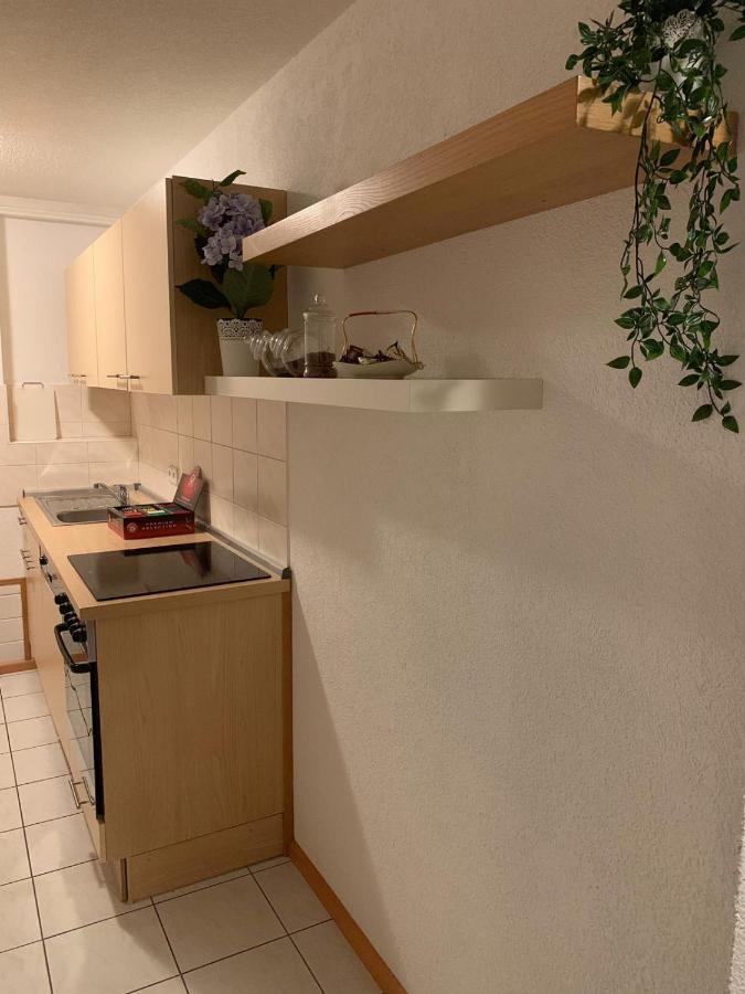 Holiday Home Nahe Europapark ラール エクステリア 写真